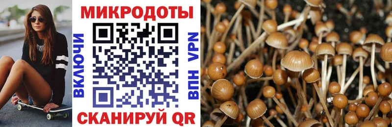 Псилоцибиновые грибы MAGIC MUSHROOMS  Дубна 